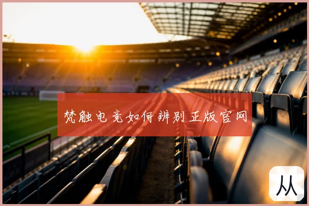 梵触电竞如何辨别正版官网